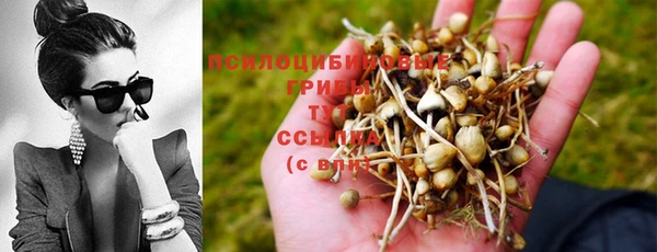 прущий лед Балахна